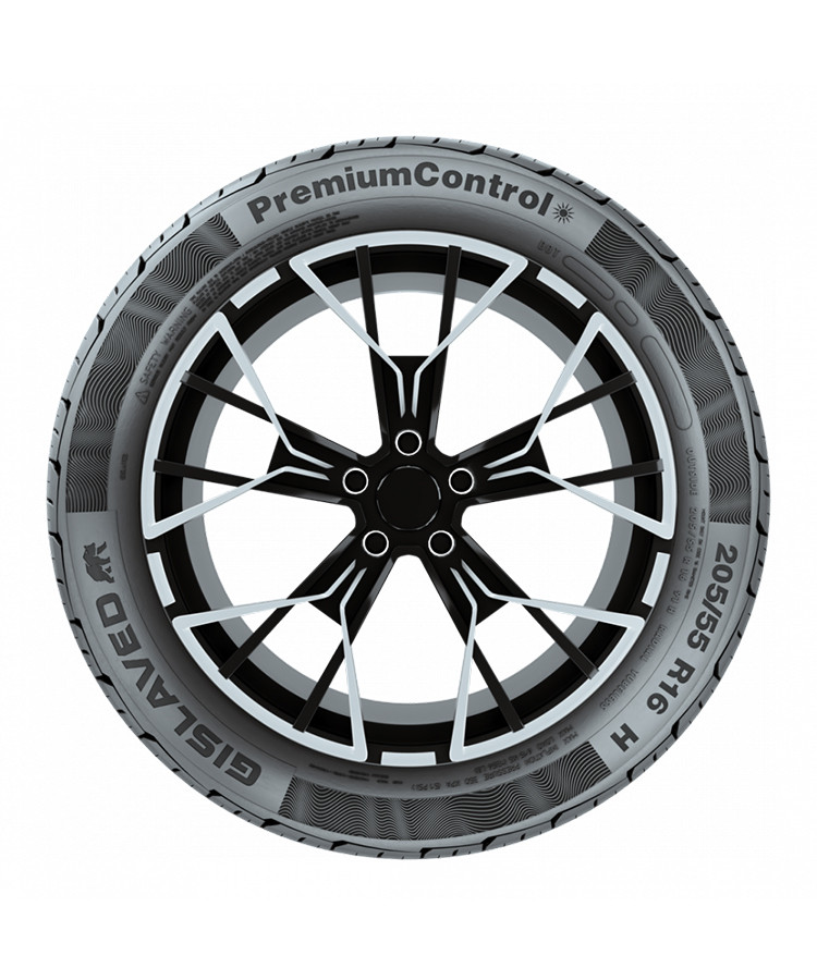 Gislaved PremiumControl 205/55 R16 91H купить в KOLOBOX